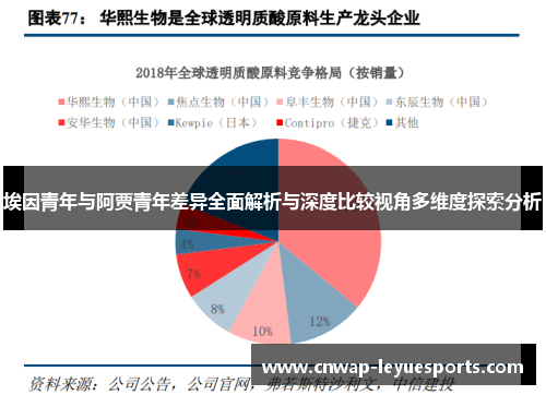 埃因青年与阿贾青年差异全面解析与深度比较视角多维度探索分析