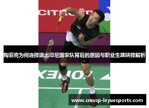 陶菲克为何选择退出印尼国家队背后的原因与职业生涯抉择解析