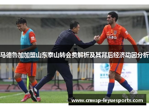 马德鲁加加盟山东泰山转会费解析及其背后经济动因分析