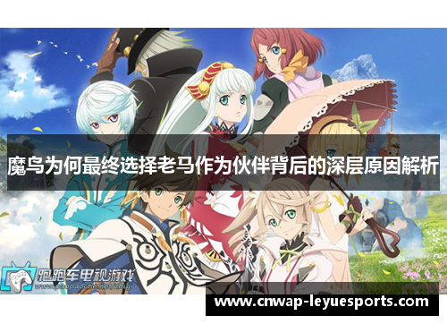 魔鸟为何最终选择老马作为伙伴背后的深层原因解析