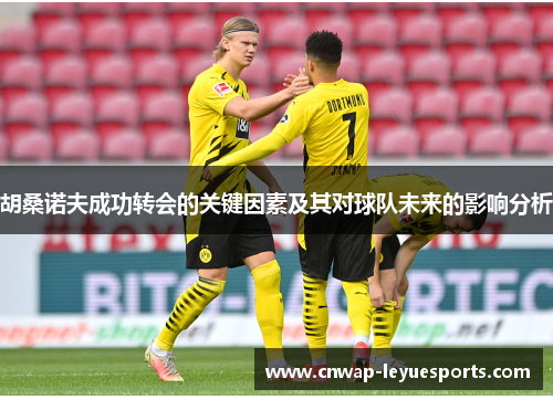 胡桑诺夫成功转会的关键因素及其对球队未来的影响分析