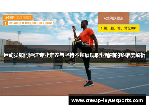 运动员如何通过专业素养与坚持不懈展现职业精神的多维度解析