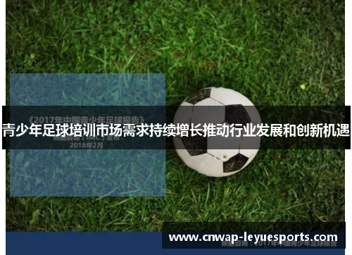 青少年足球培训市场需求持续增长推动行业发展和创新机遇 青少年足球培训市场需求持续增长推动行业发展和创新机遇