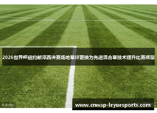 2026世界杯纽约新泽西决赛场地草坪更换为先进混合草技术提升比赛质量 2026世界杯纽约新泽西决赛场地草坪更换为先进混合草技术提升比赛质量